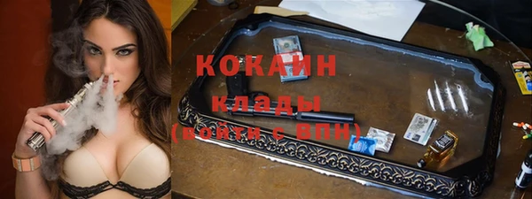 индика Армянск