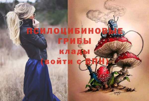 соль ск Аркадак