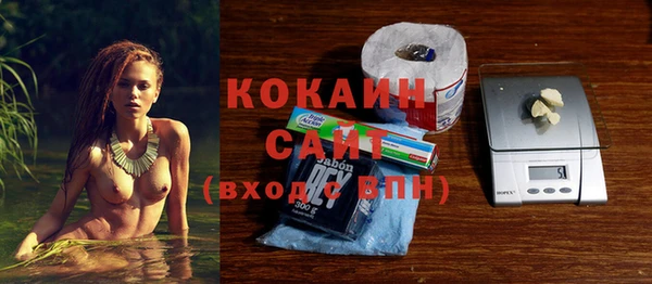 индика Армянск