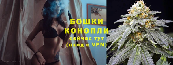индика Армянск