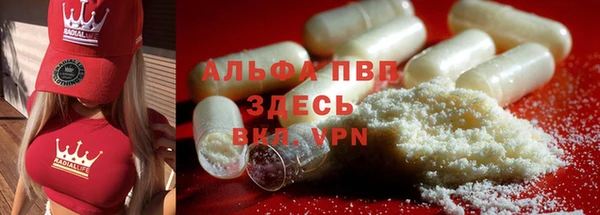 индика Армянск