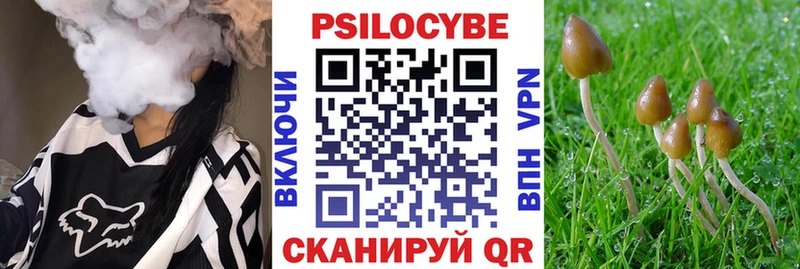 мега ССЫЛКА  продажа наркотиков  Покровск  Галлюциногенные грибы Magic Shrooms 
